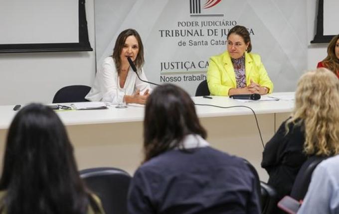 Violência doméstica leva 600 mulheres por semana a buscarem Justiça de SC