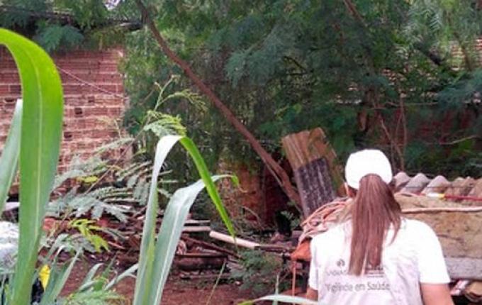 Paraná registra 57 óbitos e mais de 76 mil casos por dengue