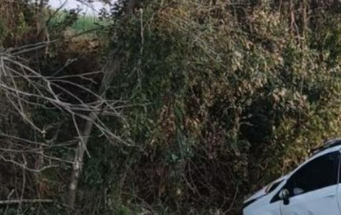 Professor de São Miguel do Oeste morre após capotamento na BR-280