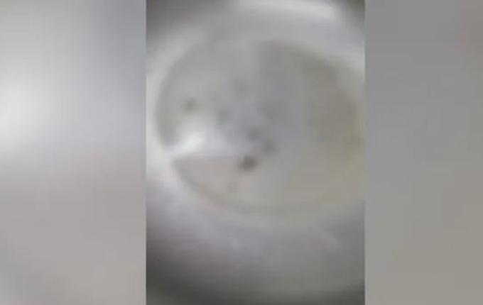 Criança é atendida com larvas na cabeça em hospital de SC, diz PM