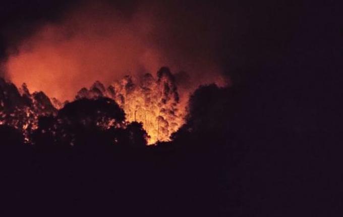 Área de mata atingida por incêndio volta a pegar fogo