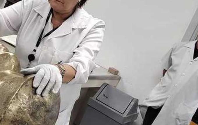 STF começa a restaurar as obras históricas e artísticas danificadas