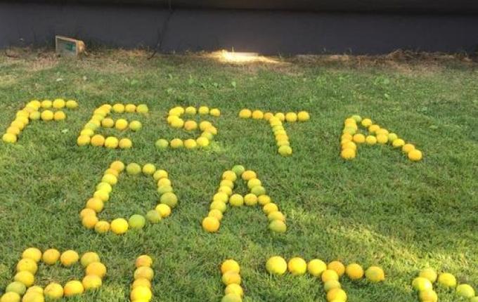 18ª Festa da Fruta terá aumento de 15% no espaço para exposição