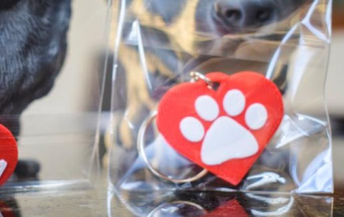 OUÇA: Campanha Ajuda Bicho auxilia ONGs em São Miguel do Oeste