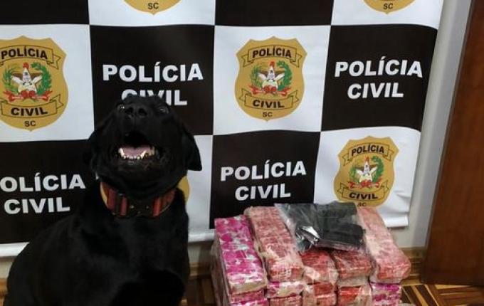 Polícia Civil prende homem e apreende droga e arma em Guaraciaba
