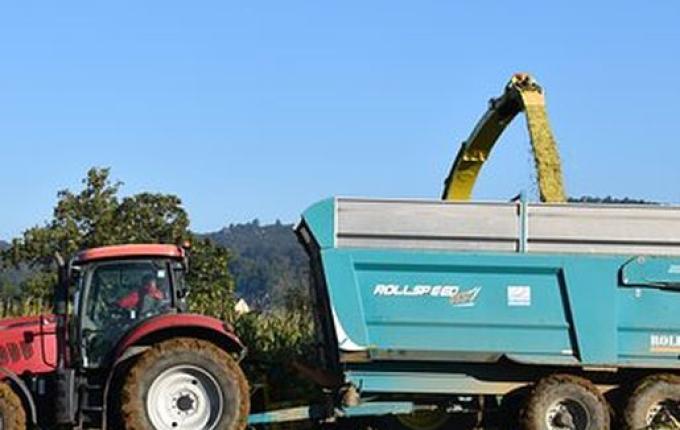 Agricultura intensifica serviços de confecção de silagem em Guarujá do Sul