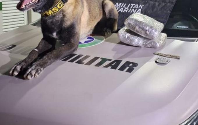 Operação conjunta resulta na apreensão de drogas em rodoviária da região