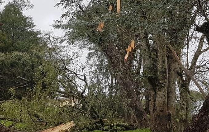 Temporais causam estragos em Itapiranga