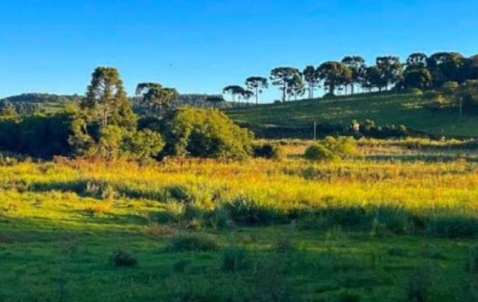 Homem atira contra helicóptero da PM e acaba morto após confronto em SC
