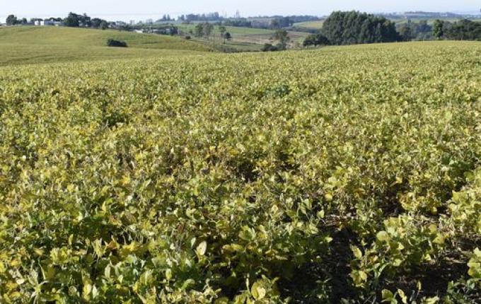 Entidades apontam sugestões para o Plano Safra 2023-2024