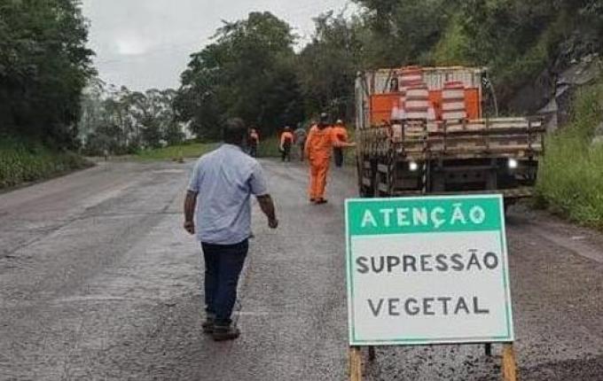 DNIT promove retirada e limpeza de vegetação às margens da BR-163
