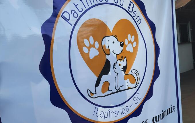 ONG alerta para cuidados com animais domésticos no período de frio