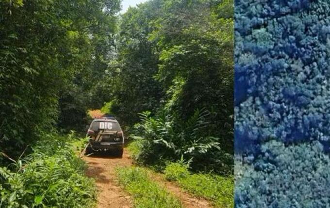 Pai é denunciado por sequestrar e matar filha de 17 anos em SC