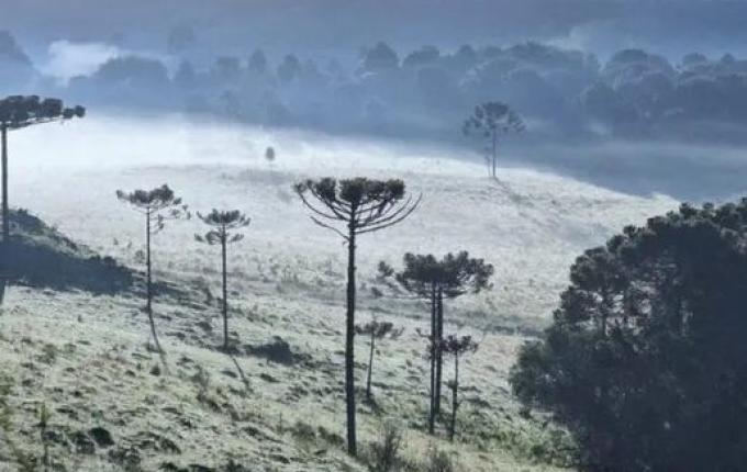 São Joaquim tem segunda geada do ano e termômetros marcam 1,8°C em pleno janeiro