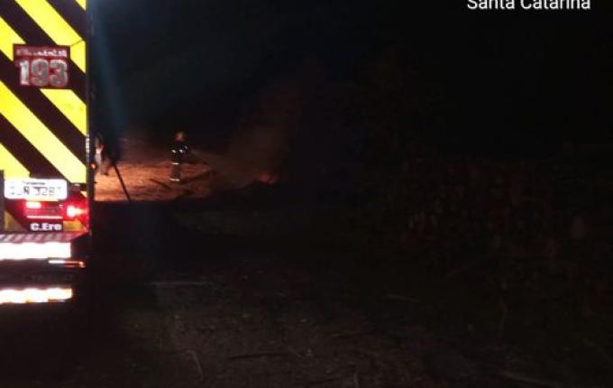 Madeiras de eucalipto pegam fogo em pátio de empresa