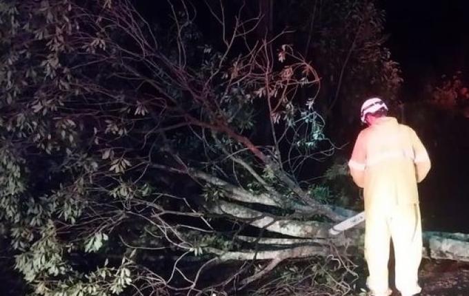 Fortes ventos e chuva causam transtornos no interior de Campo Erê
