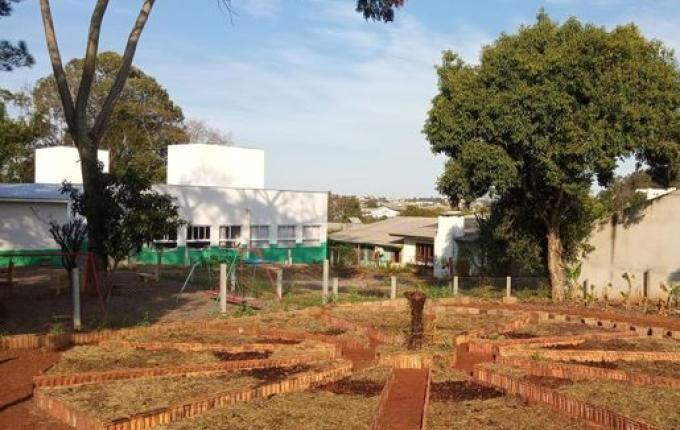 Horto medicinal de SMO terá “Relógio do Corpo Humano”