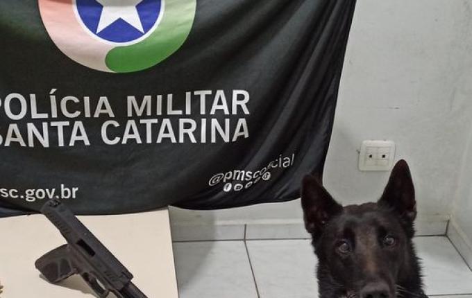 Homem é preso por porte ilegal de arma de fogo em Iporã do Oeste