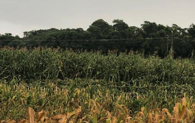 Temporal causa transtornos em municípios do Oeste