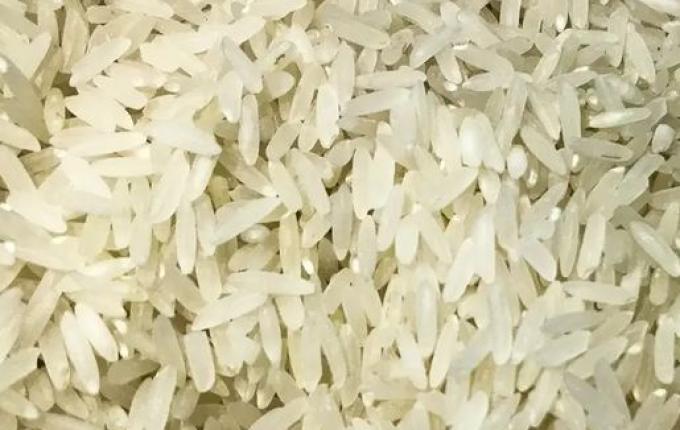 Conab compra 263,3 mil toneladas de arroz importado em leilão