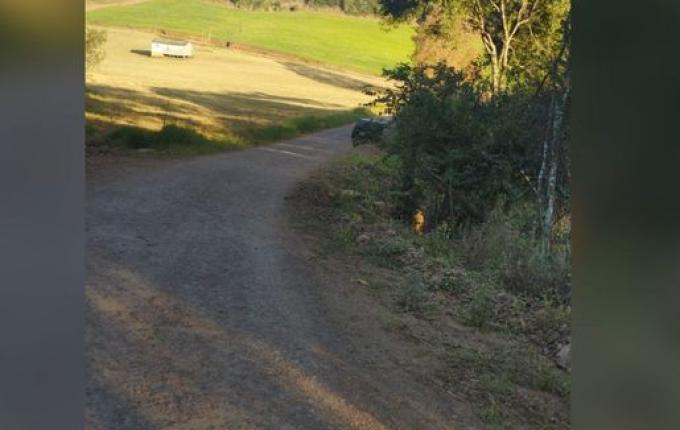 Polícia Militar encontra corpo em córrego no interior de Princesa