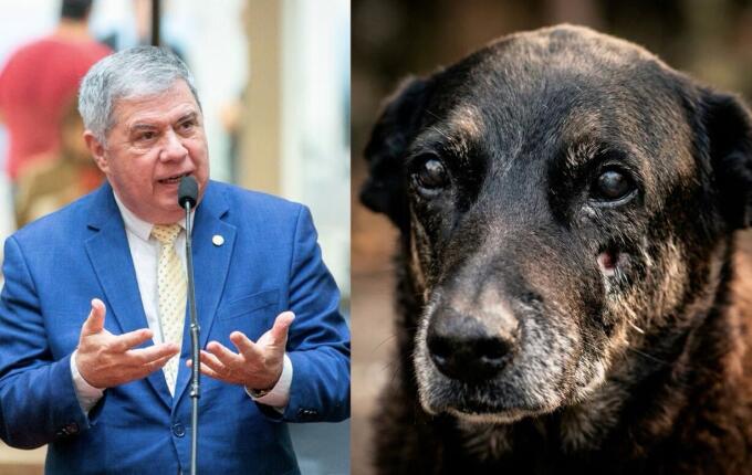 Mário Motta consegue assinaturas suficientes para instalar CPI do cão Orelha na Alesc