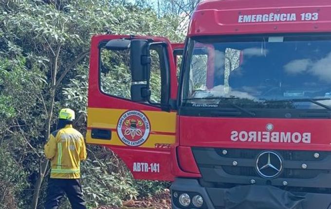 Carro sai da pista e bate em árvore no interior de Princesa