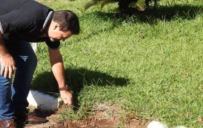 Secretaria de Saúde irá dedetizar bocas de lobo em SMOeste