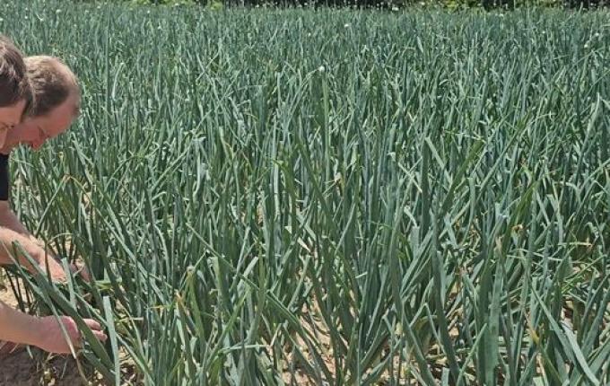 Safra Garantida SC reforça a proteção das lavouras em Santa Catarina