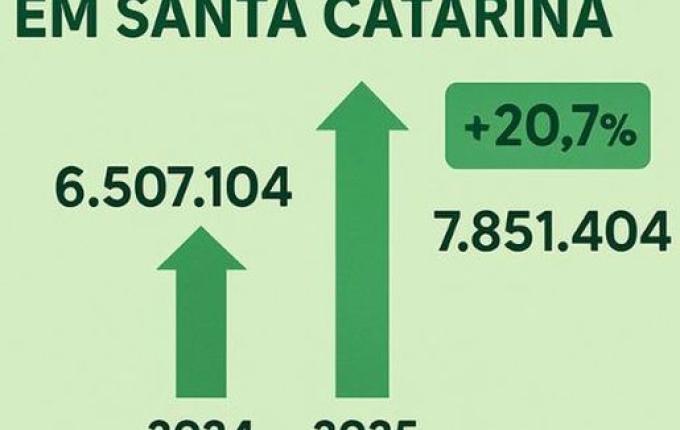 Santa Catarina bate recorde na safra de grãos, mas preços em queda preocupam produtores