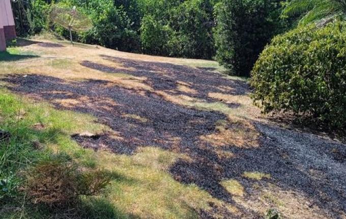 Queima de lixo coloca residência em risco de incêndio