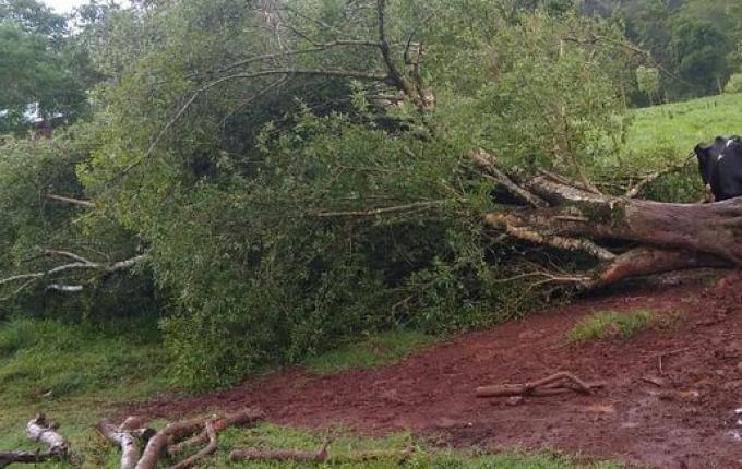 Fortes ventos causam estragos no interior de Itapiranga