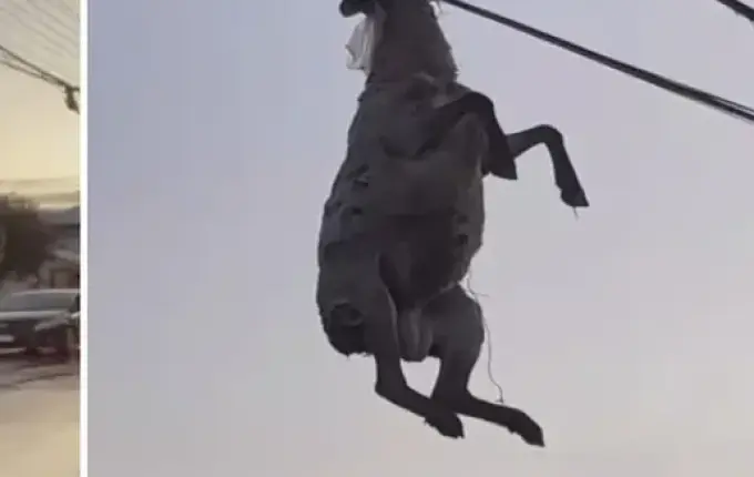 Muçum tem nove desaparecidos após ciclone no Rio Grande do Sul