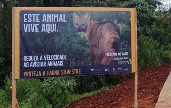 DNIT lança campanha de proteção à fauna na BR-163