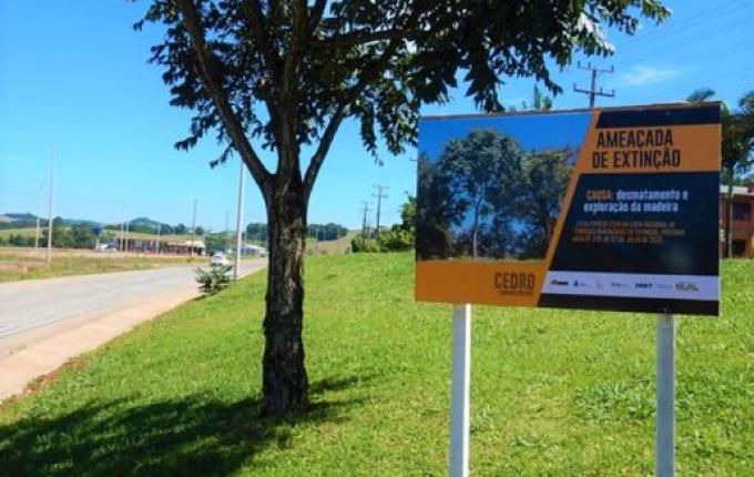 DNIT instala na BR-163/SC placas educativas sobre preservação de espécies ameaçadas de extinção