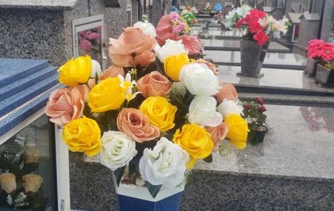 Dia de Finados: Vigilância Sanitária orienta sobre cuidados com vasos de flores