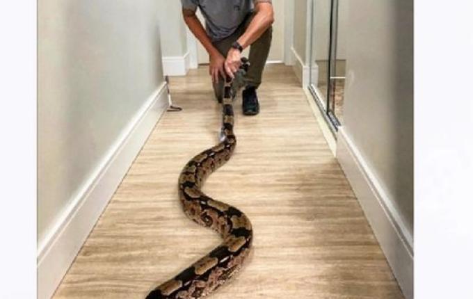 Equilíbrio entre a vida natural e humana será tema de palestra em Iporã do Oeste