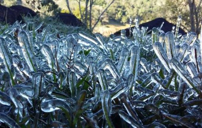 Extremo Oeste deve ter geada negra e temperatura de -5ºC neste final de semana