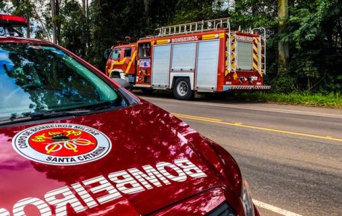 Homem morre ao ser atingido por árvore durante corte de vegetação