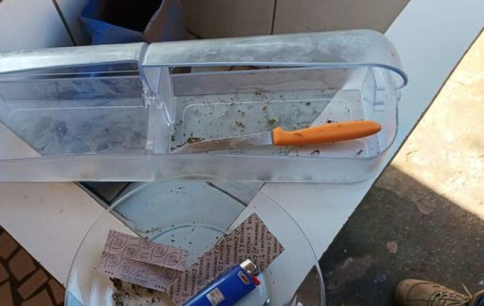 Polícia apreende maconha em duas residências em São José do Cedro