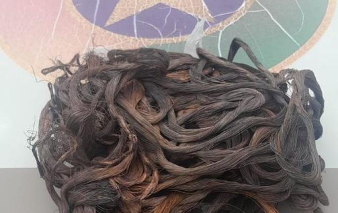 Homem é preso após furtar cabos de energia no interior de Maravilha