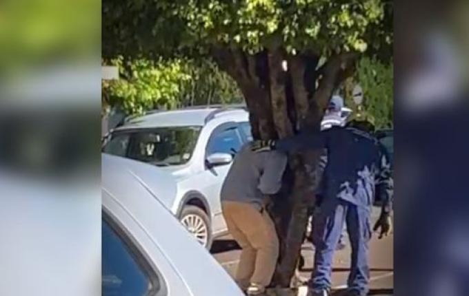 VÍDEO: Homem fica com a cabeça presa em árvore no centro de São Miguel do Oeste