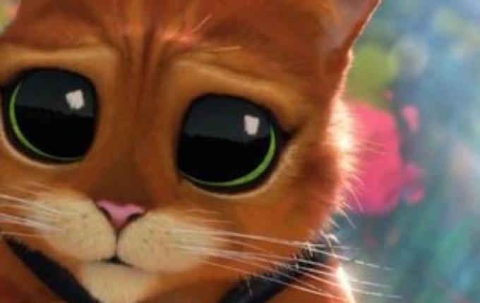 Gato de Botas 2 - O Último Pedido em 3D estreia nesta quinta no Cine Peperi