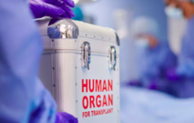 Mais de 1,5 mil aguardam por novos órgãos na fila do transplante em SC