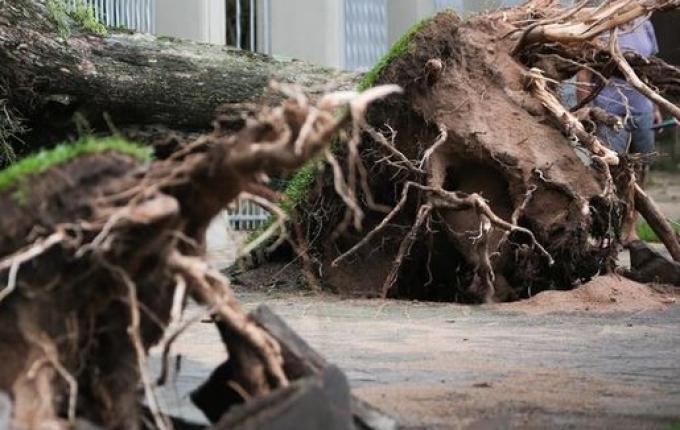 Rio Grande do Sul tem 49 municípios e 13 mil pessoas afetadas por temporal