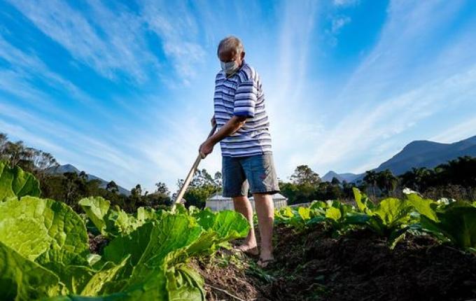 Governo do Estado investe R$ 36,9 milhões em apoio ao setor agropecuário catarinense