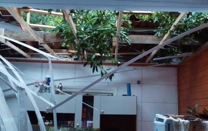 Queda de árvore danifica residência em Itapiranga e mulher sofre ferimentos