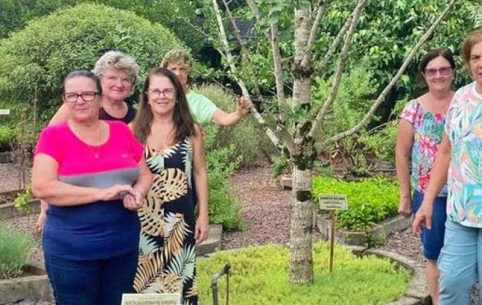 Horto da Vida de Mondaí dispõe mais de 230 espécies de plantas medicinais