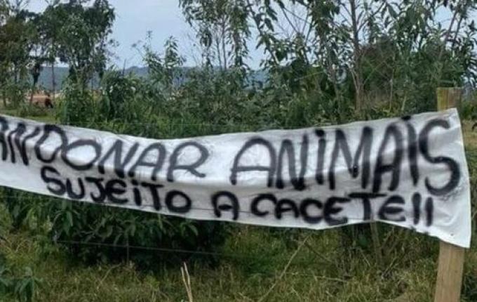 Terreno usado para abandono de animais ganha faixa de alerta em Santa Catarina