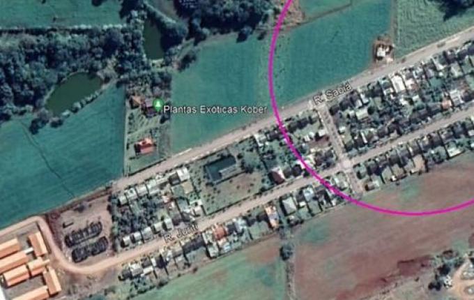 Com aumento de casos de Dengue, Itapiranga fará aplicação de fumacê